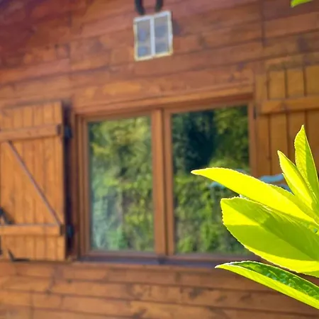Camping Climatisé - 2 Pers. - Api-1-52-2574 *
